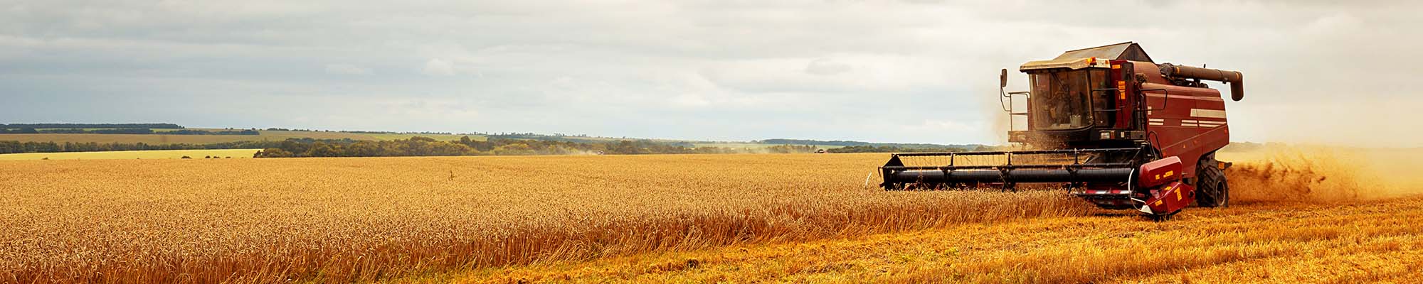 Agricultural